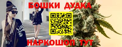 2c-b Камышлов