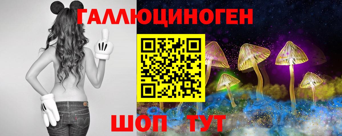 Красноуфимск  наркота  Вход с VPN  Псилоцибиновые грибы Psilocybe 